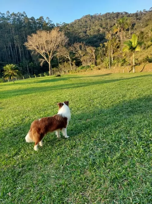 Dia a Dia