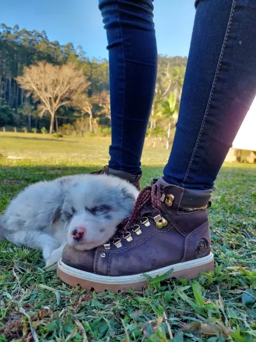 Dia a Dia