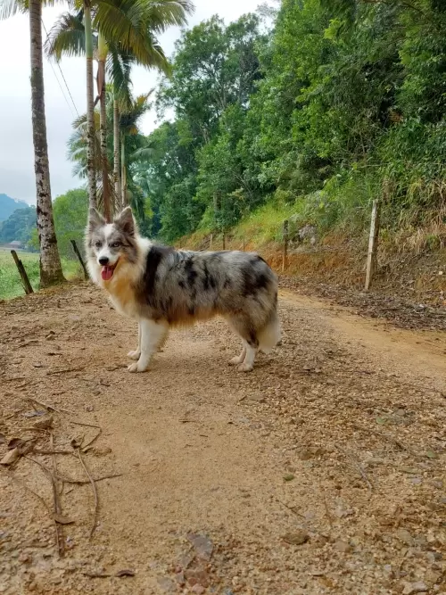 Dia a Dia