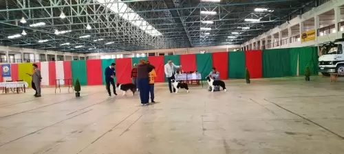 Exposições