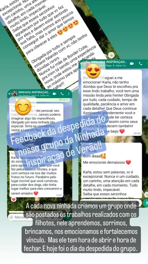 Clientes Felizes