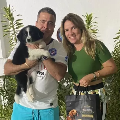 Clientes Felizes